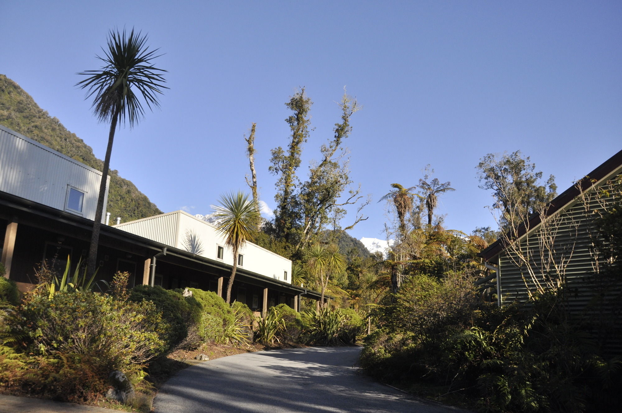 Punga Grove Motel Franz Josef Exterior photo